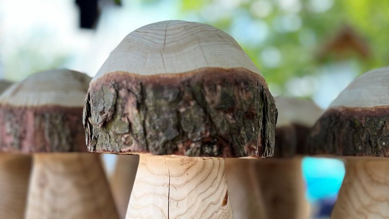 Auf dem Bild ist ein Holzpokal in Form eines Pilzes zu sehen. 