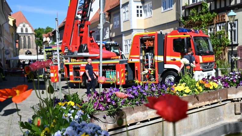 Auf dem Foto sind Blumen zu sehen und im Hintergrund ein Feuerwehrfahrzeug. 